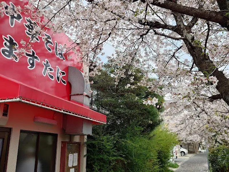ますたに 北白川本店